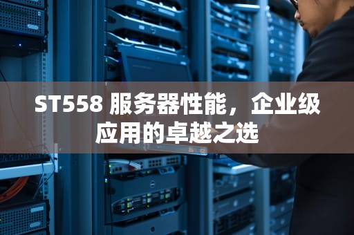 ST558 服务器性能，企业级应用的卓越之选