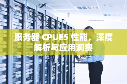 服务器 CPUE5 性能，深度解析与应用洞察