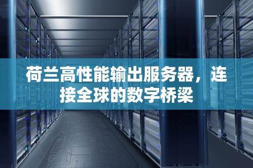 荷兰高性能输出服务器，连接全球的数字桥梁