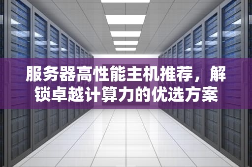 服务器高性能主机推荐，解锁卓越计算力的优选方案