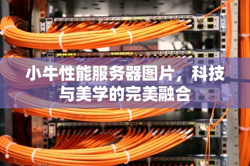 小牛性能服务器图片，科技与美学的完美融合