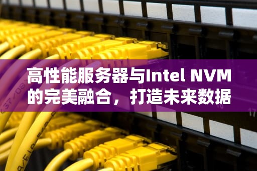 高性能服务器与Intel NVM的完美融合，打造未来数据中心新生态