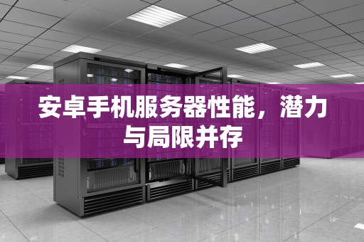 安卓手机服务器性能，潜力与局限并存