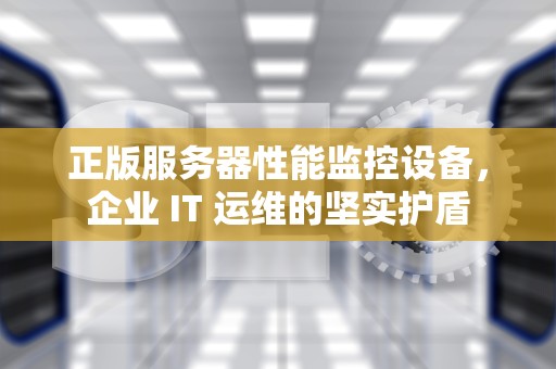 正版服务器性能监控设备，企业 IT 运维的坚实护盾