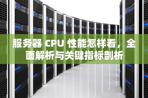 服务器 CPU 性能怎样看，全面解析与关键指标剖析