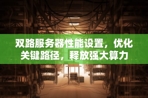 双路服务器性能设置，优化关键路径，释放强大算力