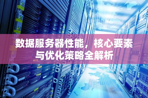 数据服务器性能，核心要素与优化策略全解析