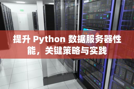 提升 Python 数据服务器性能，关键策略与实践