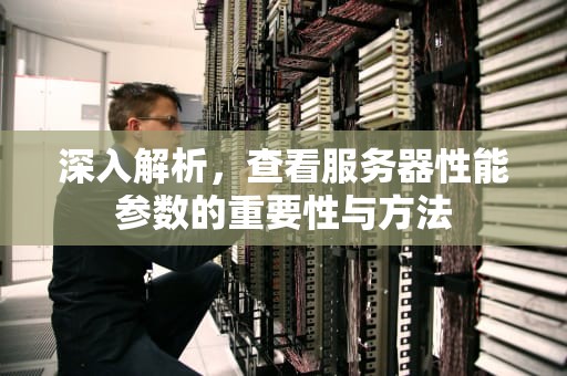 深入解析，查看服务器性能参数的重要性与方法