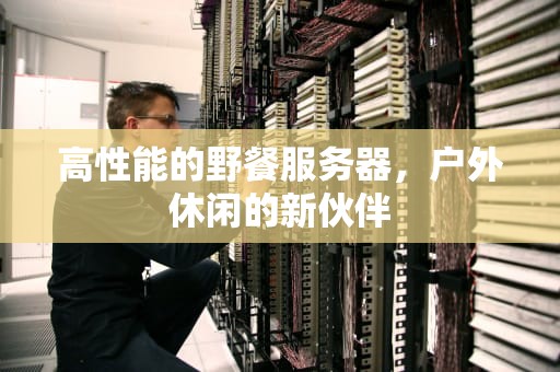 高性能的野餐服务器，户外休闲的新伙伴