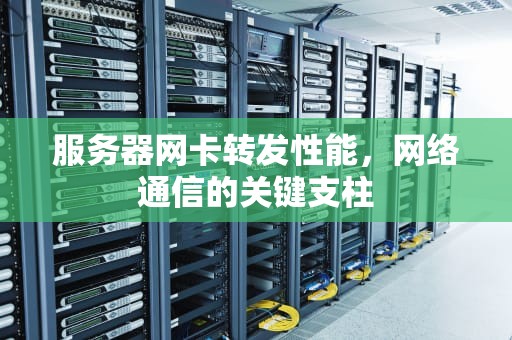 服务器网卡转发性能，网络通信的关键支柱