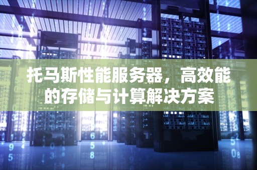 托马斯性能服务器，高效能的存储与计算解决方案