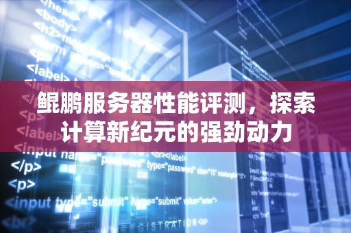 鲲鹏服务器性能评测，探索计算新纪元的强劲动力