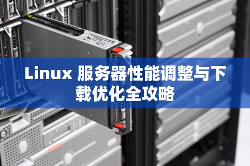 Linux 服务器性能调整与下载优化全攻略