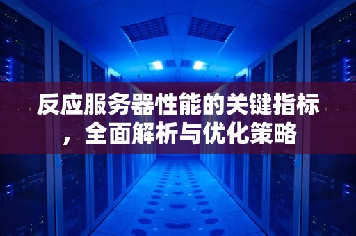 反应服务器性能的关键指标，全面解析与优化策略