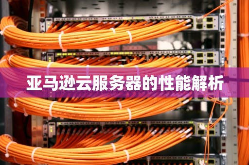 亚马逊云服务器的性能解析