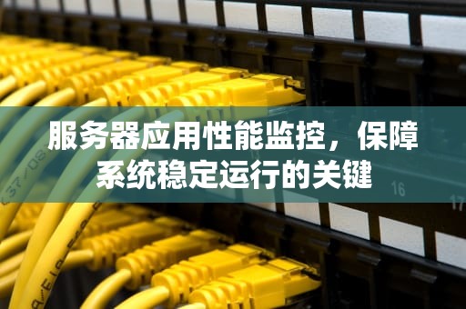 服务器应用性能监控，保障系统稳定运行的关键