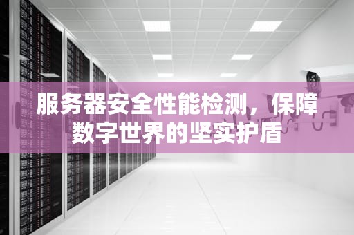 服务器安全性能检测，保障数字世界的坚实护盾