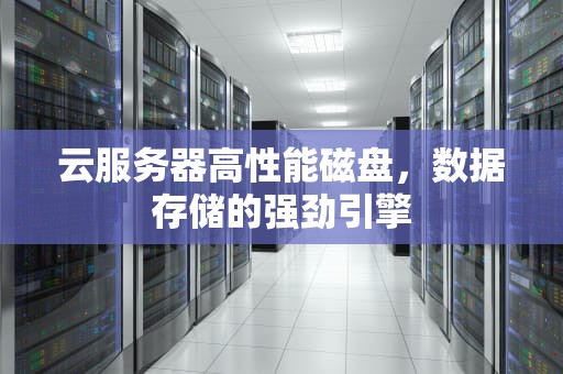 云服务器高性能磁盘，数据存储的强劲引擎