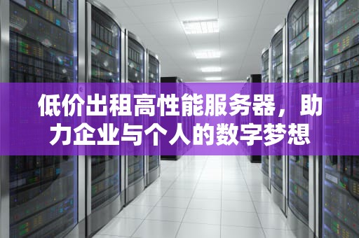 低价出租高性能服务器，助力企业与个人的数字梦想