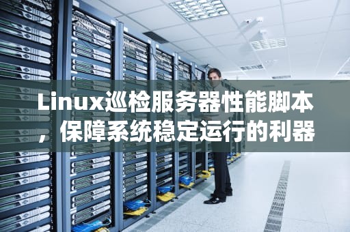 Linux巡检服务器性能脚本，保障系统稳定运行的利器
