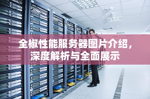 全椒性能服务器图片介绍，深度解析与全面展示