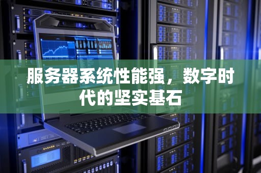 服务器系统性能强，数字时代的坚实基石