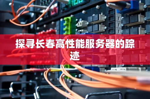 探寻长春高性能服务器的踪迹