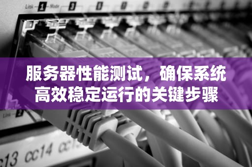 服务器性能测试，确保系统高效稳定运行的关键步骤