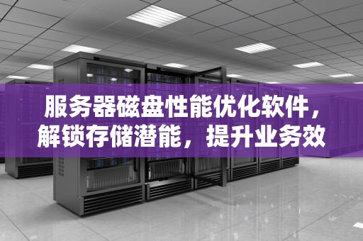 服务器磁盘性能优化软件，解锁存储潜能，提升业务效率