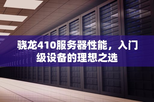 骁龙410服务器性能，入门级设备的理想之选