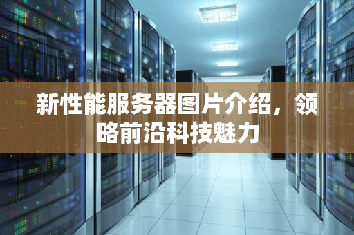 新性能服务器图片介绍，领略前沿科技魅力