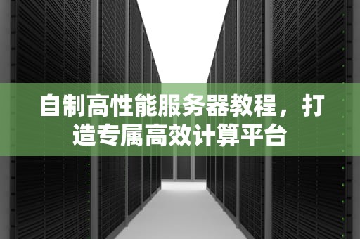 自制高性能服务器教程，打造专属高效计算平台