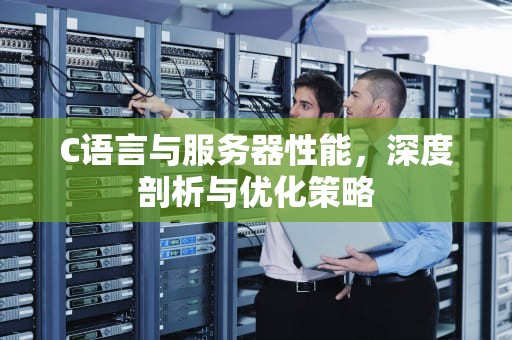 C语言与服务器性能，深度剖析与优化策略
