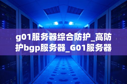 g01服务器综合防护_高防护bgp服务器_G01服务器综合防护