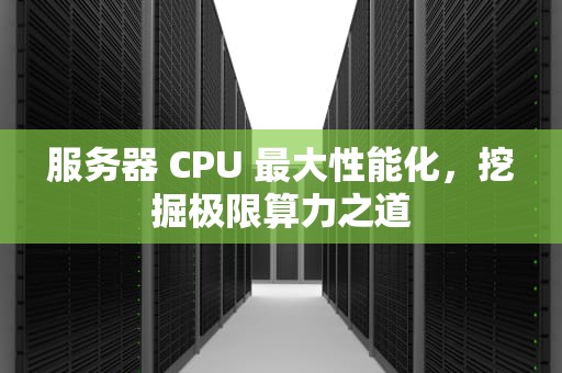 服务器 CPU 最大性能化，挖掘极限算力之道