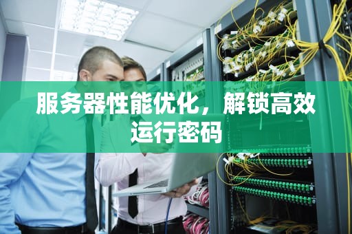 服务器性能优化，解锁高效运行密码