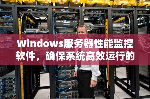 Windows服务器性能监控软件，确保系统高效运行的利器