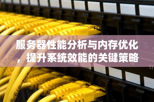 服务器性能分析与内存优化，提升系统效能的关键策略