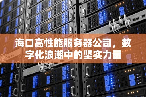 海口高性能服务器公司，数字化浪潮中的坚实力量