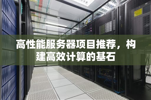 高性能服务器项目推荐，构建高效计算的基石