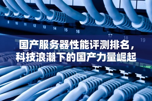 国产服务器性能评测排名，科技浪潮下的国产力量崛起