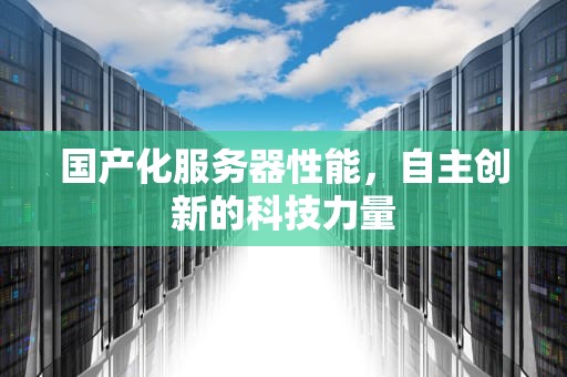 国产化服务器性能，自主创新的科技力量
