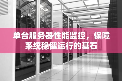 单台服务器性能监控，保障系统稳健运行的基石