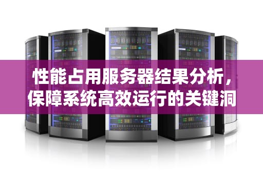 性能占用服务器结果分析，保障系统高效运行的关键洞察