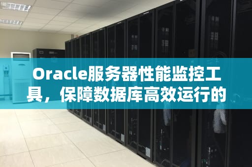 Oracle服务器性能监控工具，保障数据库高效运行的利器