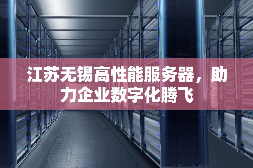 江苏无锡高性能服务器，助力企业数字化腾飞