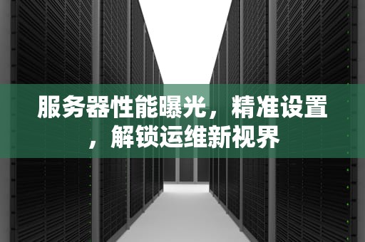 服务器性能曝光，精准设置，解锁运维新视界