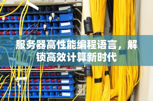 服务器高性能编程语言，解锁高效计算新时代