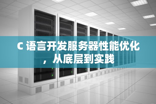 C 语言开发服务器性能优化，从底层到实践